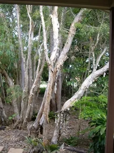 Barooga On Pier Hotell Urangan
